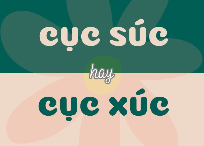 Cục súc hay cục xúc – Đâu mới là cách viết đúng?