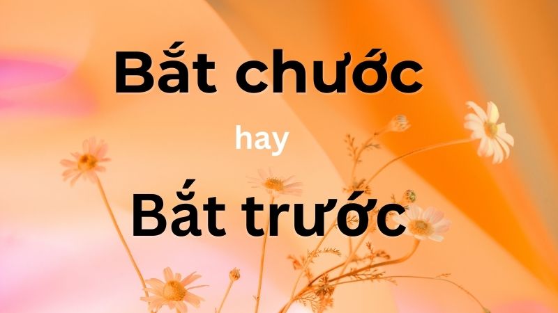 Bắt chước hay bắt trước từ nào đúng chính tả nhất?