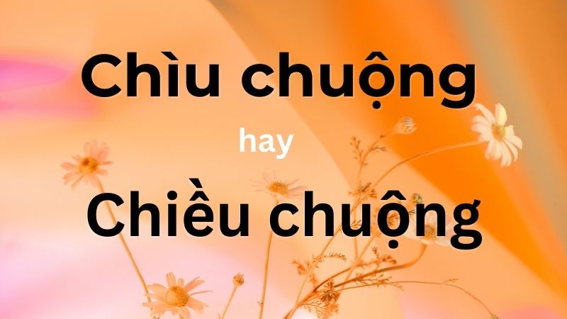 Từ đúng chính tả là chìu chuộng hay chiều chuộng?