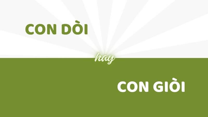 Từ đúng chính tả là con dòi hay con giòi?