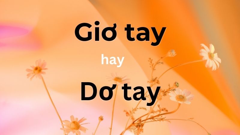 Giơ tay hay dơ tay mới là đúng? Phân biệt cụ thể