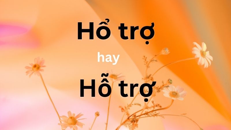 Hổ trợ hay hỗ trợ là đúng chính tả theo từ điển Tiếng Việt?