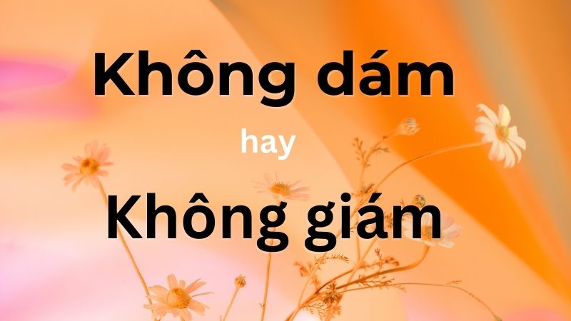 Đâu là từ viết đúng chính tả: Không dám hay không giám?