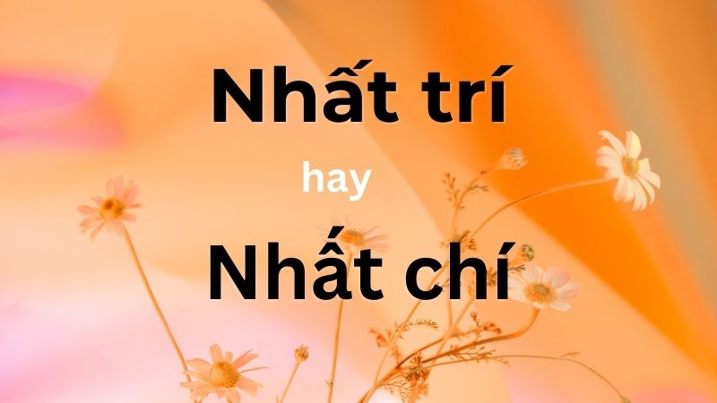 Nhất trí hay nhất chí là từ chuẩn, đúng chính tả?