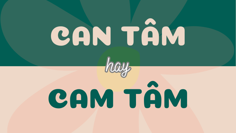 Can tâm hay cam tâm? Phân biệt chính tả và ý nghĩa trong Tiếng Việt