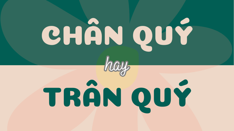 Từ nào sử dụng đúng: chân quý hay trân quý?