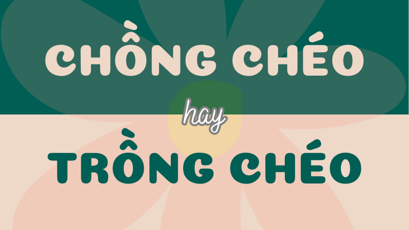 Chồng chéo hay trồng chéo? Phân biệt từ đúng chính tả và ý nghĩa trong Tiếng Việt