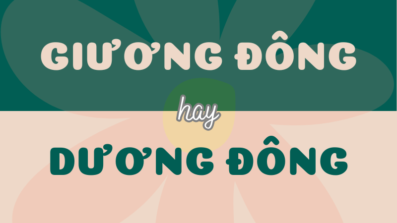 Giương đông hay dương đông? Từ nào mới đúng trong tiếng Việt?