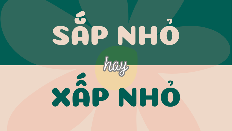 Sắp nhỏ hay xấp nhỏ? Từ nào đúng chính tả trong tiếng Việt?