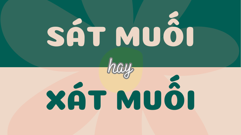 Sát muối hay xát muối? Phân biệt đúng chính tả trong Tiếng Việt