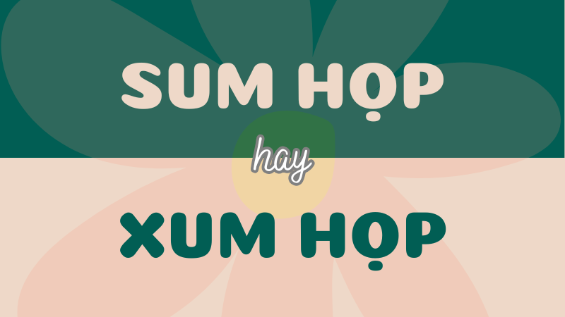 Từ nào sử dụng đúng: Sum họp hay xum họp?