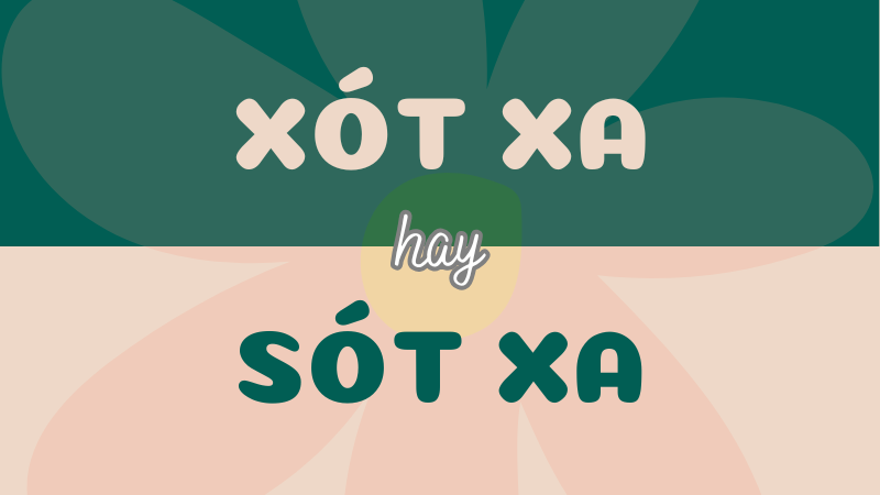 Từ nào sử dụng đúng: Xót xa hay sót xa?