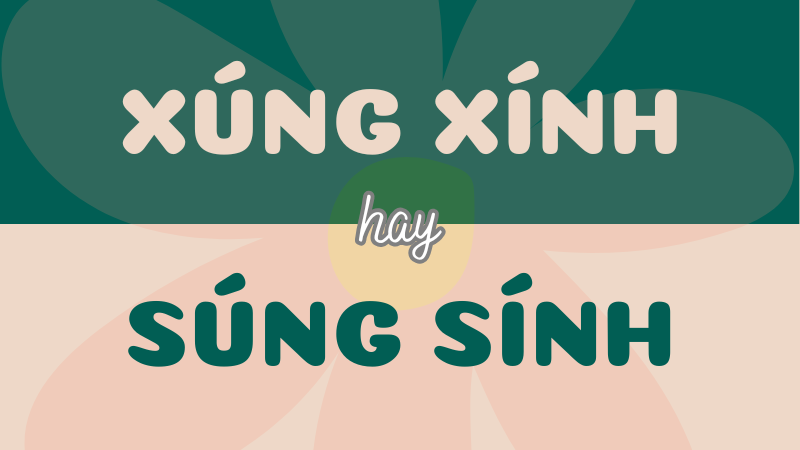 Xúng xính hay súng sính? Cách dùng đúng trong Tiếng Việt