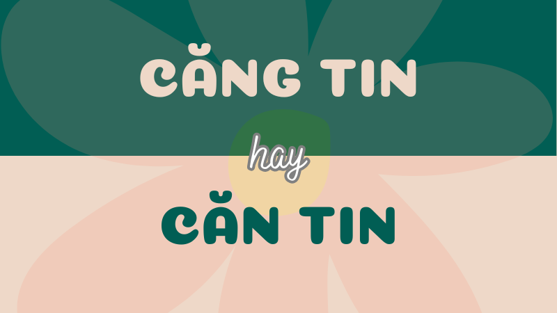 Căng tin hay căn tin? Tìm hiểu từ đúng chính tả Tiếng Việt