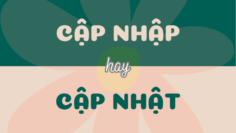 Cập nhập hay cập nhật? Từ nào viết đúng chính tả Tiếng Việt