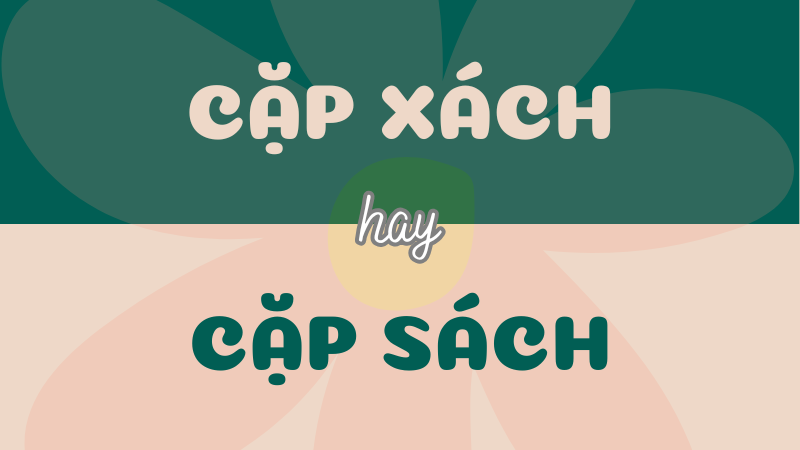 Cặp xách hay cặp sách? Từ nào đúng chính tả tiếng Việt?