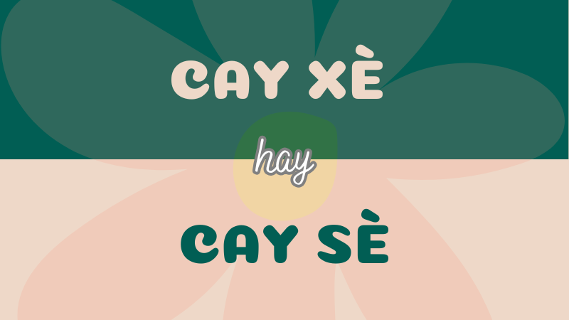 Cay xè hay cay sè? Từ nào đúng chính tả tiếng Việt?