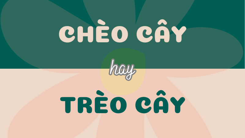 Chèo cây hay trèo cây? Từ nào đúng chính tả?