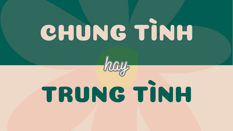 Chung tình hay trung tình? Xác định từ đúng và cách sử dụng