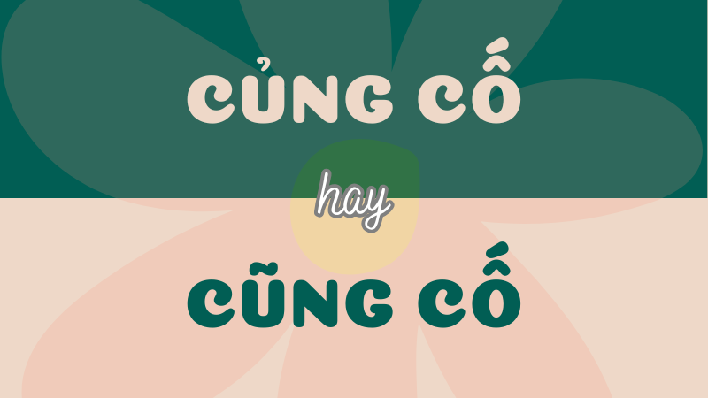 Củng cố hay cũng cố? Từ nào mới là đúng chính tả?