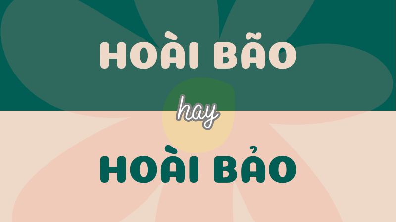 Hoài bão hay hoài bảo? Từ nào đúng chính tả?