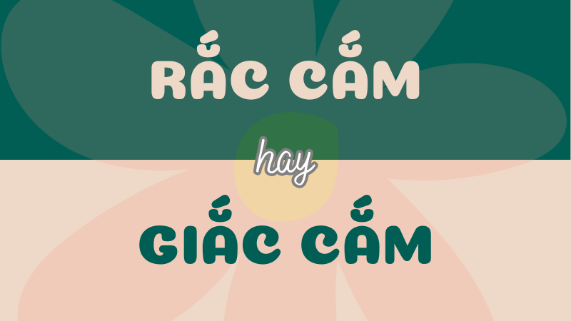 Rắc cắm hay giắc cắm? Từ nào đúng chính tả?