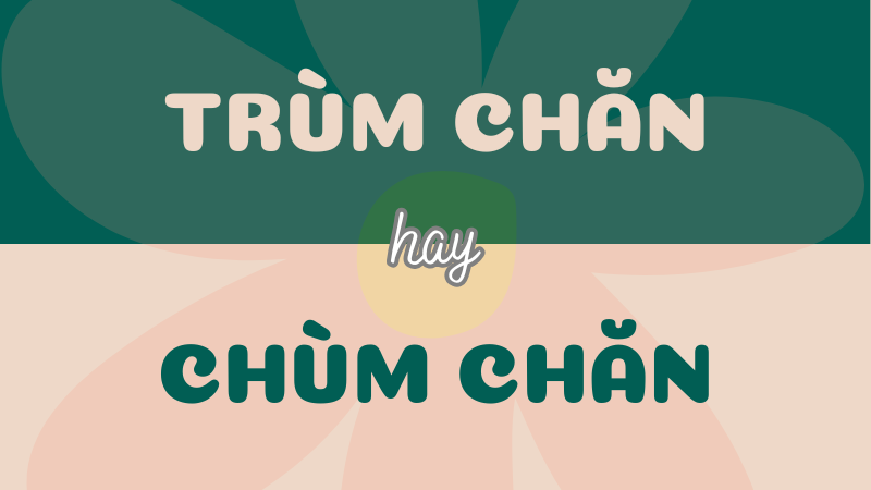 Trùm chăn hay chùm chăn? Từ nào đúng chính tả Tiếng Việt