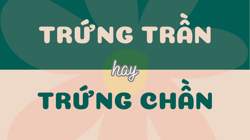 Trứng trần hay trứng chần? Tìm hiểu từ đúng chính tả Tiếng Việt