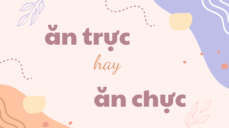 Cách phân biệt ăn trực hay ăn chực và quy tắc dùng từ chuẩn tiếng Việt