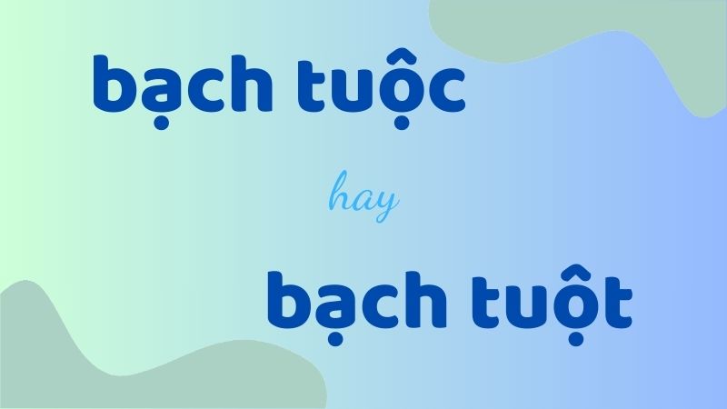 Bạch tuộc hay bạch tuột và cách viết đúng chính tả trong tiếng Việt