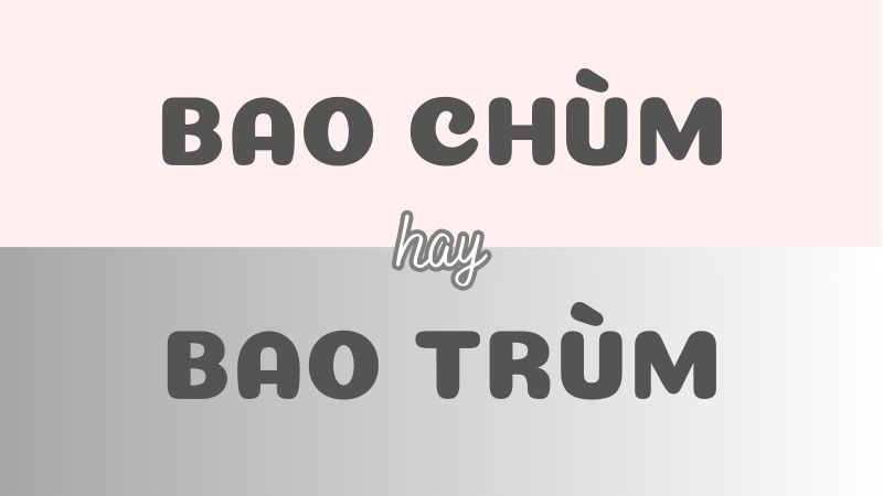 Bao chùm hay bao trùm và cách phân biệt chính xác trong tiếng Việt