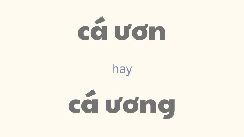 Cách phân biệt cá ươn hay cá ương và quy tắc chính tả cần nhớ