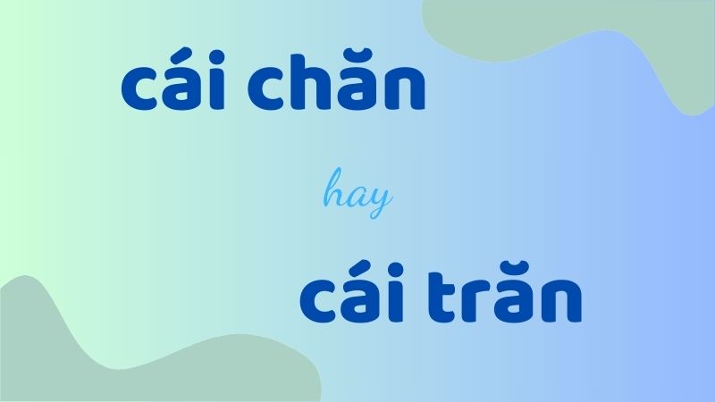 Cách phân biệt cái chăn hay cái trăn giúp học sinh viết đúng chính tả