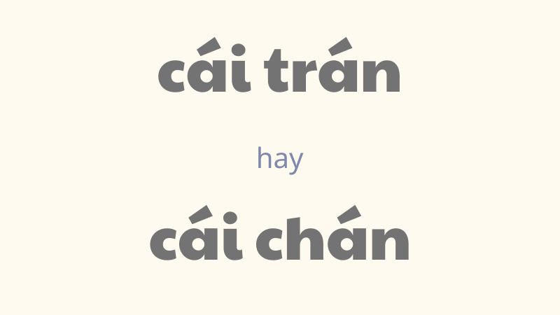 Cái trán hay cái chán và cách phân biệt chính tả thường gặp trong tiếng Việt