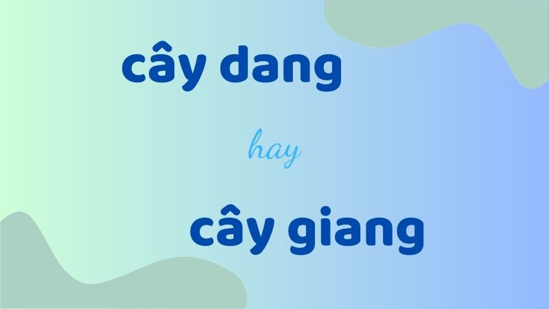 Cây dang hay cây giang và cách phân biệt chính tả thường gặp trong tiếng Việt