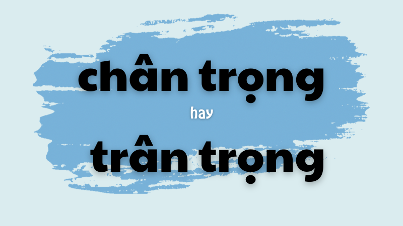 Chân trọng hay trân trọng và cách phân biệt để viết đúng chính tả