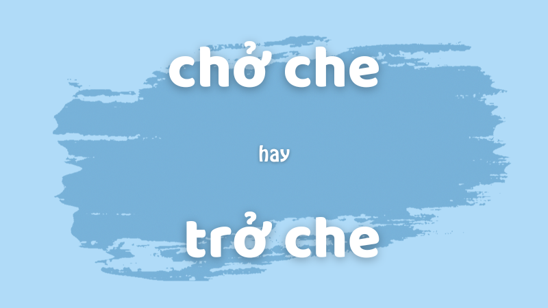 Phân biệt chở che hay trở che và cách dùng từ chuẩn trong tiếng Việt