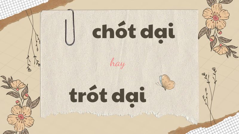 Chót dại hay trót dại và cách phân biệt từ ngữ thường gặp trong tiếng Việt