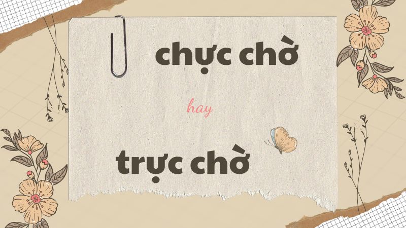 Chực chờ hay trực chờ và cách phân biệt chính xác trong tiếng Việt