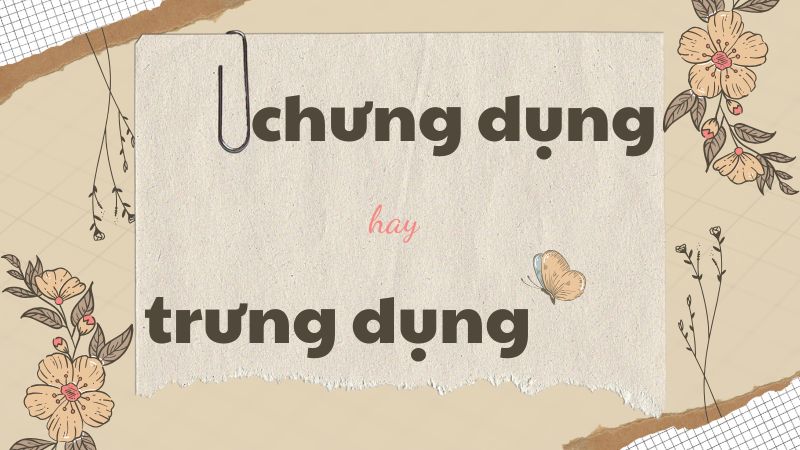 Chưng dụng hay trưng dụng và cách phân biệt từ ngữ dễ nhầm lẫn trong tiếng Việt