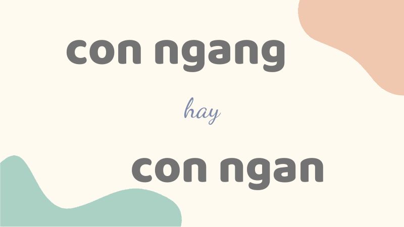 Con ngang hay con ngan và cách viết đúng chính tả loài gia cầm quen thuộc