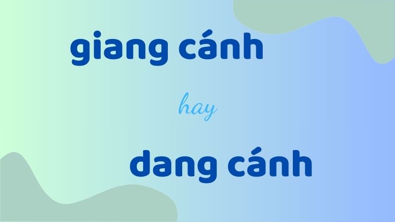 Giang cánh hay dang cánh và cách phân biệt chính tả thường gặp trong tiếng Việt