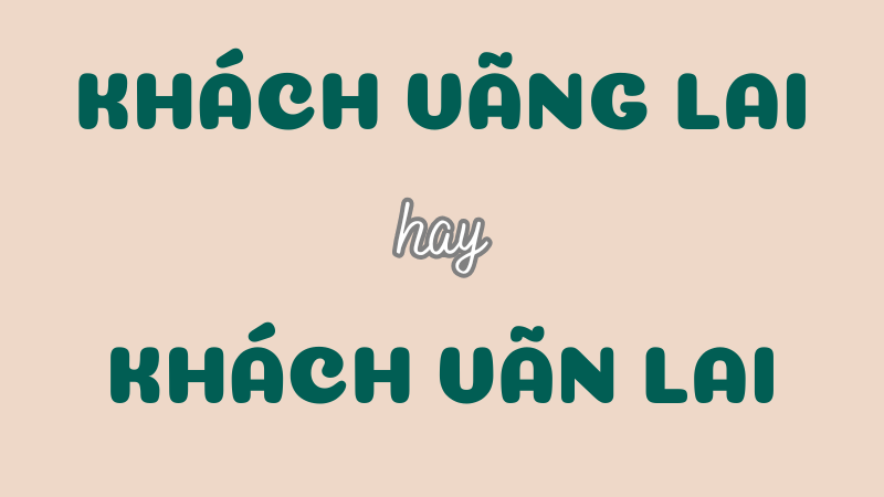 Cách viết đúng khách vãng lai và những lỗi chính tả thường gặp trong tiếng Việt