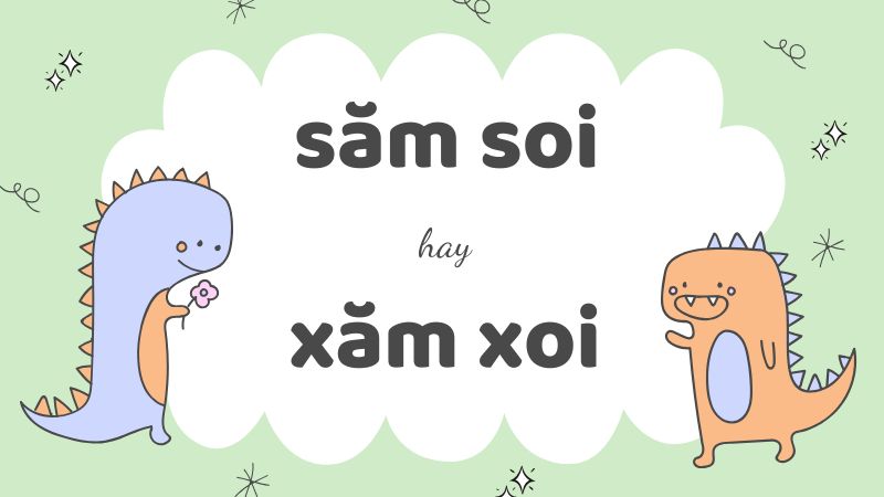 Cách viết đúng săm soi hay xăm xoi và những từ dễ nhầm lẫn trong tiếng Việt