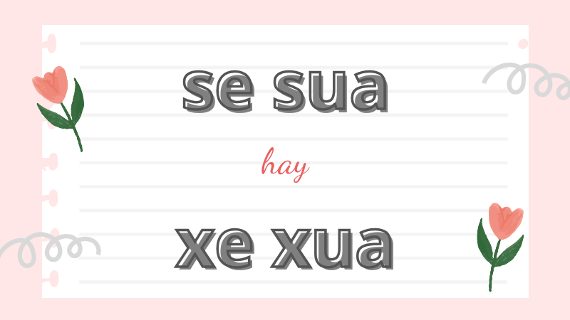 Se sua hay xe xua và cách phân biệt chính tả thường gặp trong tiếng Việt