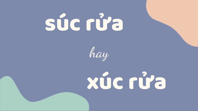 Súc rửa hay xúc rửa và cách phân biệt chính xác trong tiếng Việt chuẩn