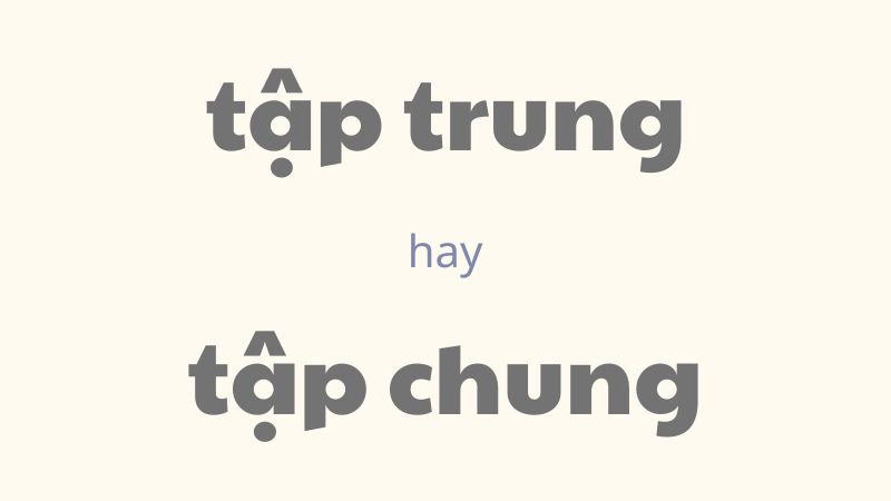 Phân biệt tập trung hay tập chung và cách dùng từ chuẩn trong tiếng Việt