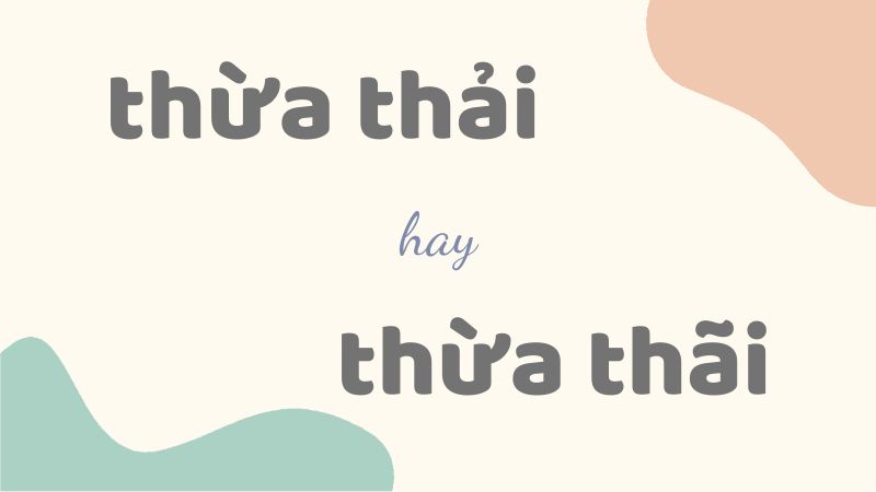 Cách viết đúng thừa thải hay thừa thãi và quy tắc sử dụng trong tiếng Việt