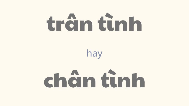 Xúng xính hay súng sính? Cách dùng đúng trong Tiếng Việt