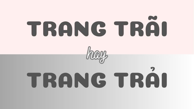 Trang trãi hay trang trải và cách phân biệt chính xác trong tiếng Việt